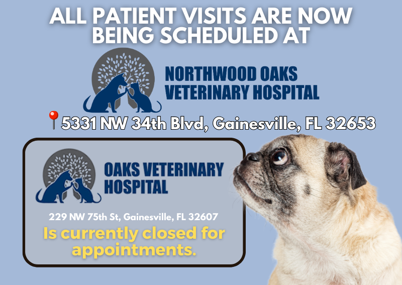 Carousel Slide 1: Learn More >>