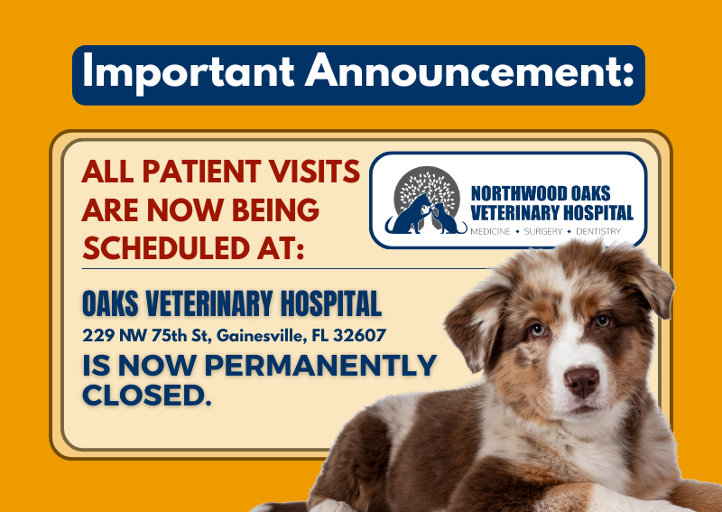 Carousel Slide 1: Learn More >>