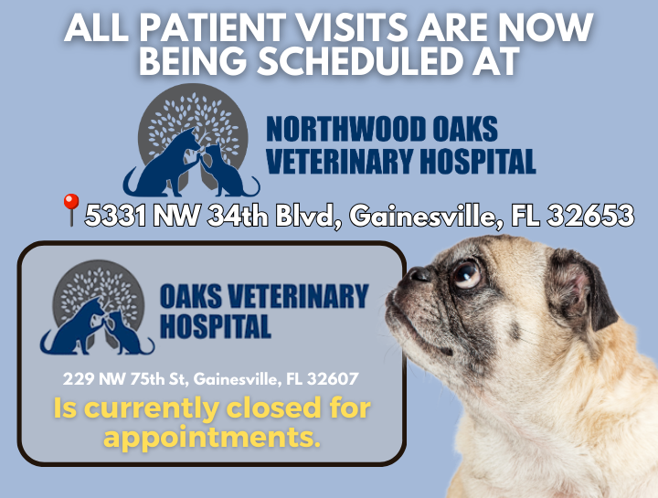 Oaks Veterinary Hospital is currently closed for appointments as of September 11, 2025